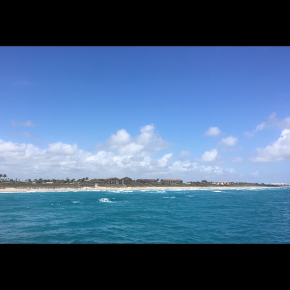 Meet your Posher, Maya - Picture 1 of 1